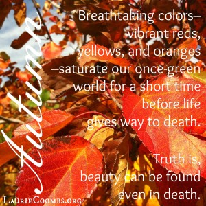 autumn, fall, leaves, die, death, beauty, beauty death, life comes through death, beauty in death, Jesus, Christ, Jesus die, why did jesus die, John 12:24-25, loves life loses it, hates life keeps it, fortune cookie, seed die to have life, seed, die to self, christ at center,  