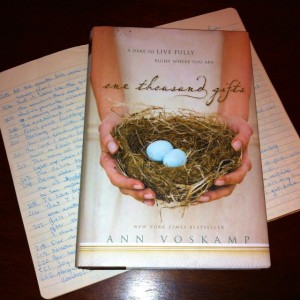 Ann Voskamp, One Thousand Gifts, Book Review, One Thousand Gifts Book Review, Christian book, Good Christian Books, Thankfulness, Thanksgiving, Book Giveaway, Giveaway, fight for joy, joy thanksgiving, joy, how do I find peace, how do i find joy, bestselling book, Christ, Jesus, God, gratitude, journal, gratitude journal, count gifts, gifts, gift god, fight for joy, live life well, 
