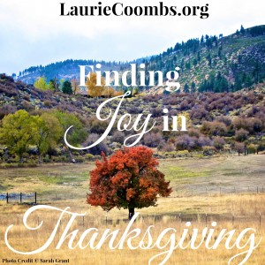 thankful heart, Thanksgiving, thanks, thankful, grace, God, Jesus, Christ, Christianity, joy, finding joy, how to find joy, how to have joy, how do you have joy, how can i be happy, how to be happy, grace of God, gifts, number gifts, Ann Voskamp, One Thousand Gifts, th