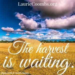 The Harvest is Waiting